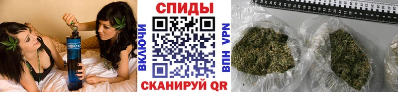 Купить  Олонец  БУТИРАТ BDO 