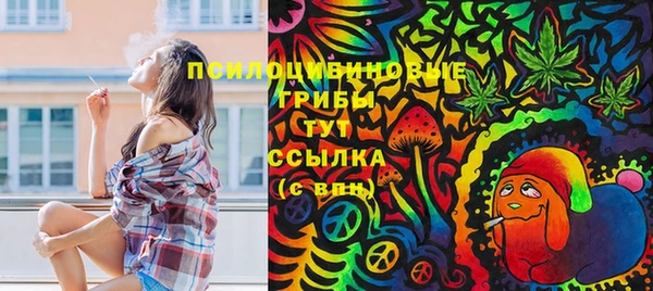 соль курить ск Каменка