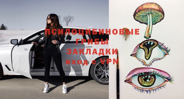 соль курить ск Каменка