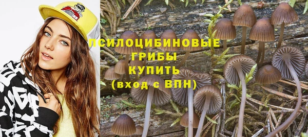 мескалин Каменск-Шахтинский