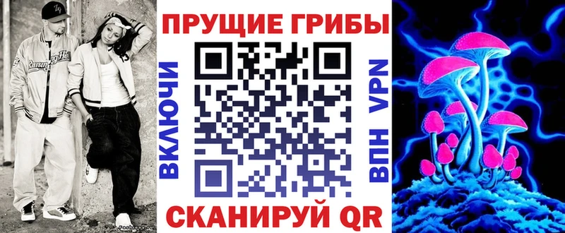 Купить где  Олонец  Псилоцибиновые грибы прущие грибы 