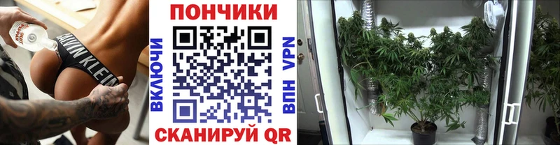 Купить  Олонец  МАРИХУАНА ГИДРОПОН 